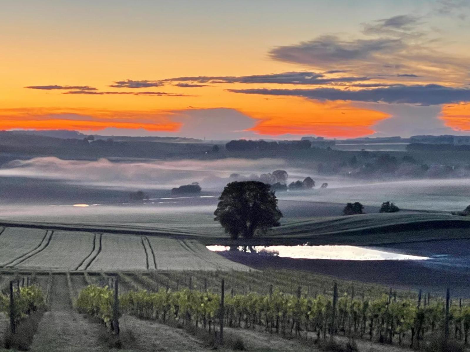 Paradis Des Vignes Birac  Værelse billede