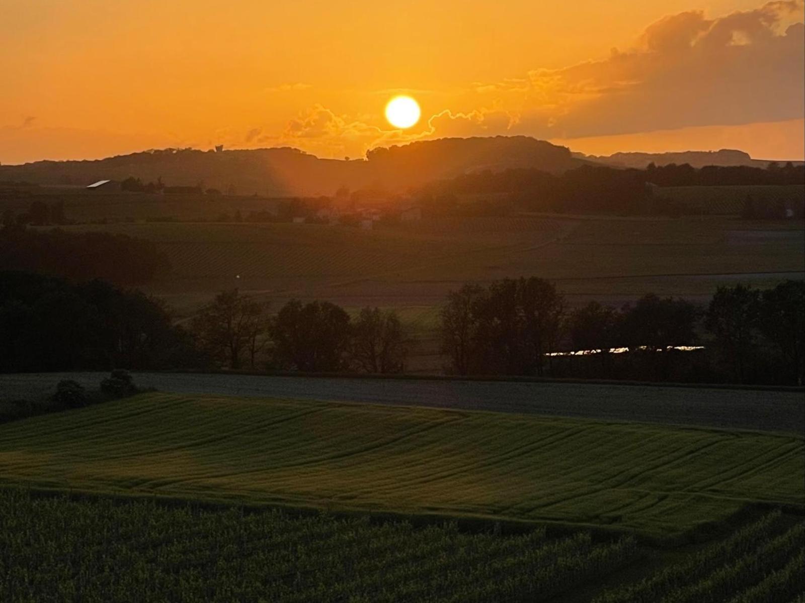 Paradis Des Vignes Birac  Værelse billede
