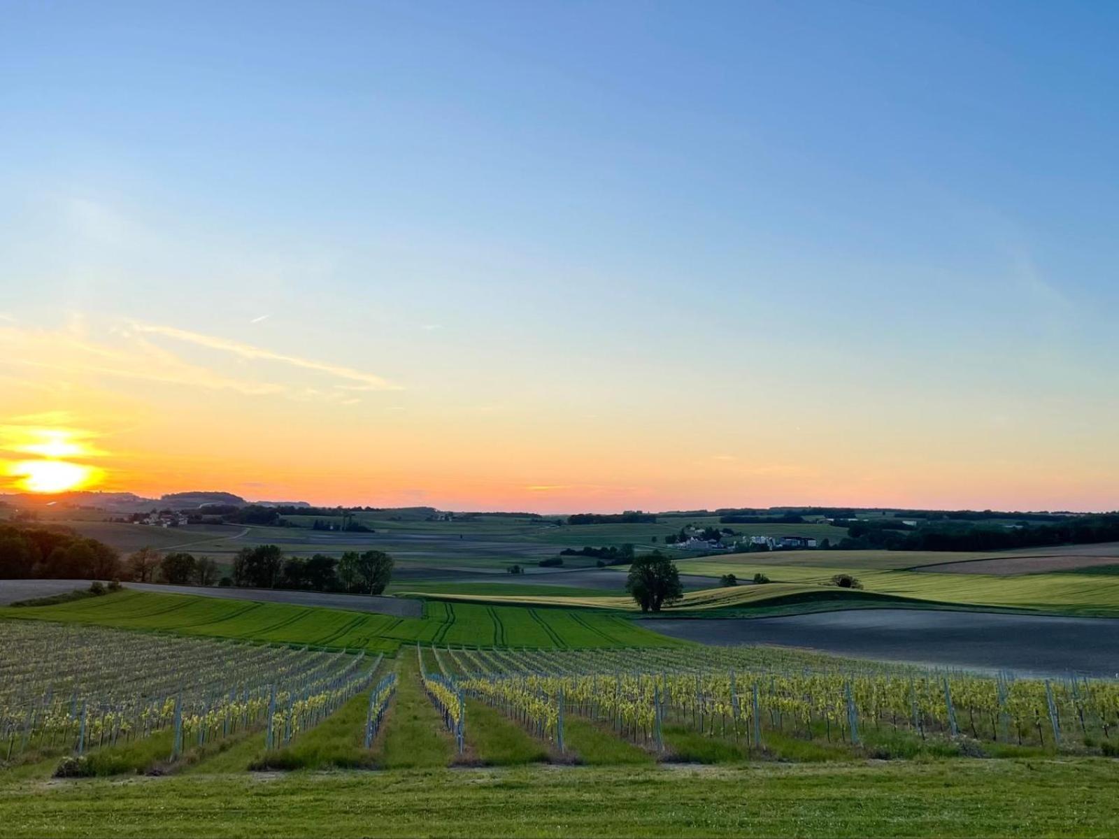 Paradis Des Vignes Birac  Værelse billede